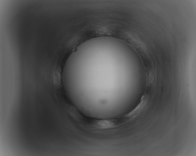 X0000103160183200808291457