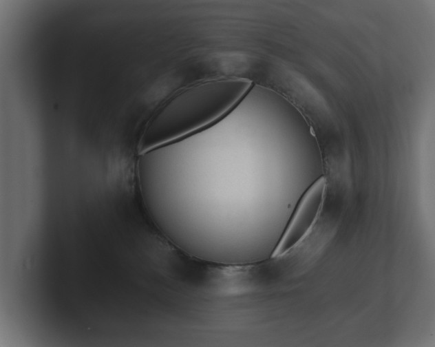 X0000103160184200808291457