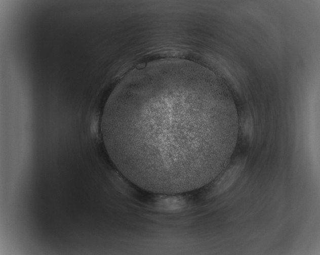 X0000103160185200808291457