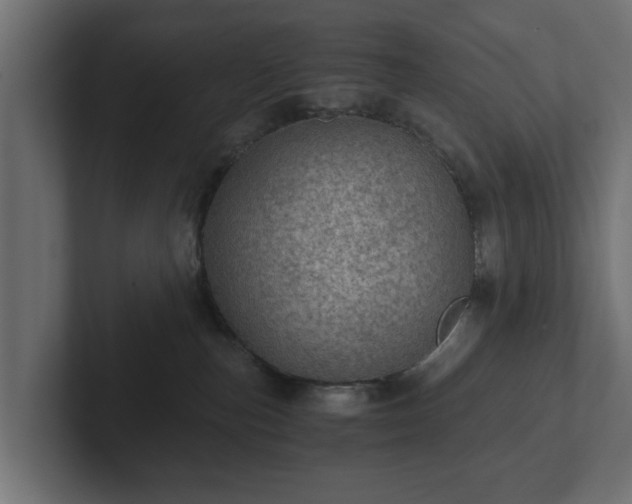 X0000103160187200808291457