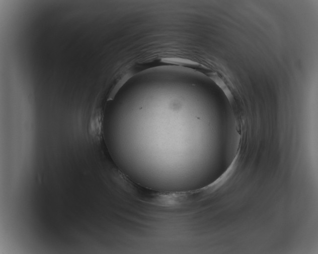 X0000103160190200808291457