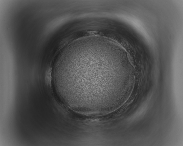 X0000103160194200808291457