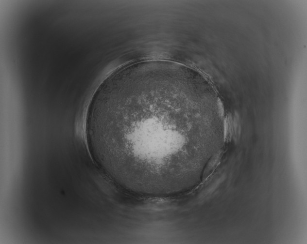 X0000103160195200808291457