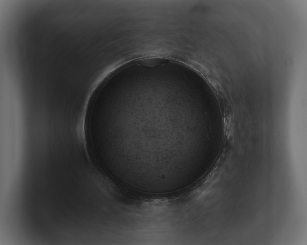 X0000103160196200808291457