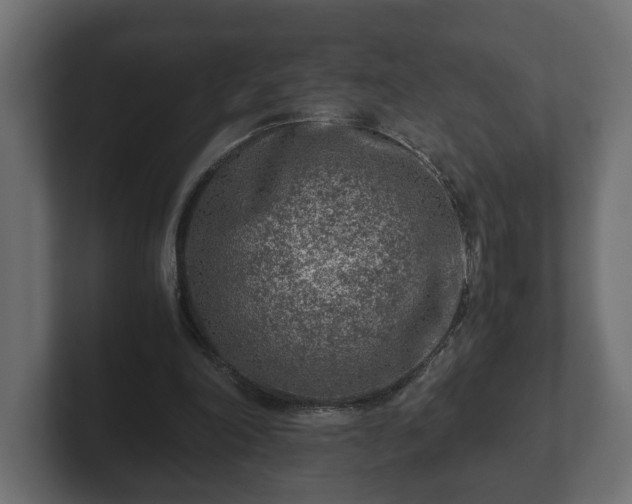 X0000103160198200808291457