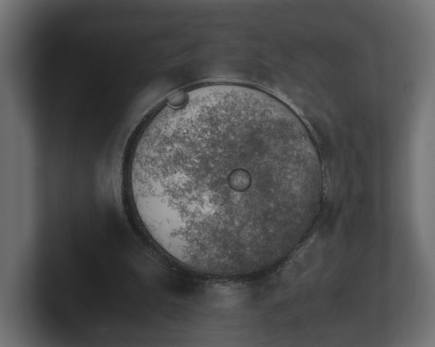 X0000103160199200808291457