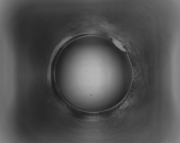 X0000103160200200808291457