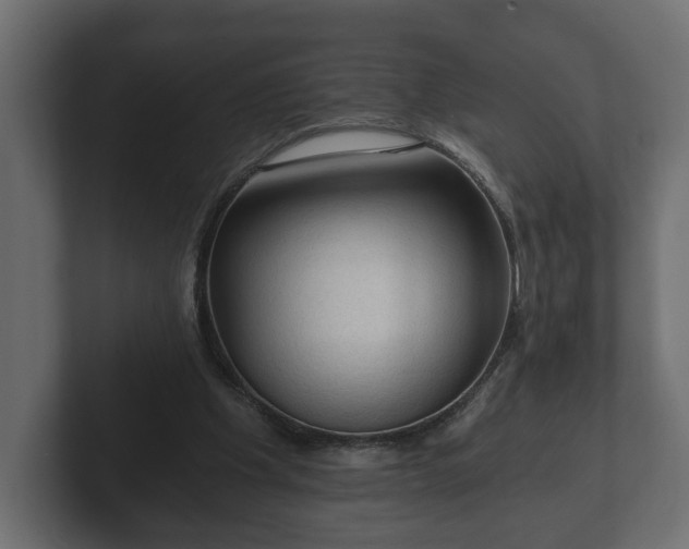 X0000103160201200808291457