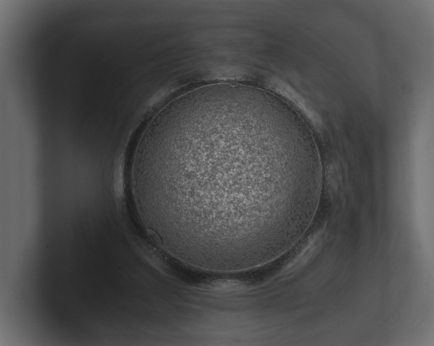 X0000103160203200808291457