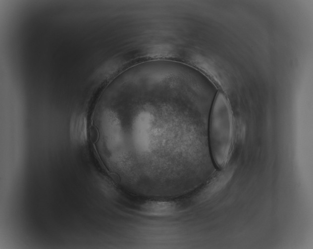 X0000103160205200808291457