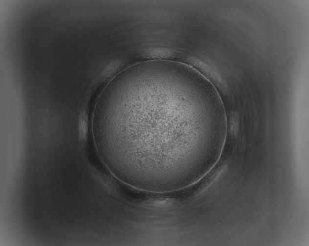 X0000103160206200808291457