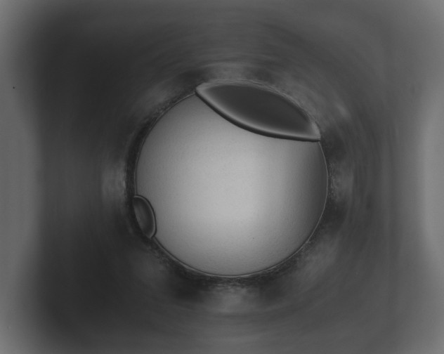 X0000103160207200808291457