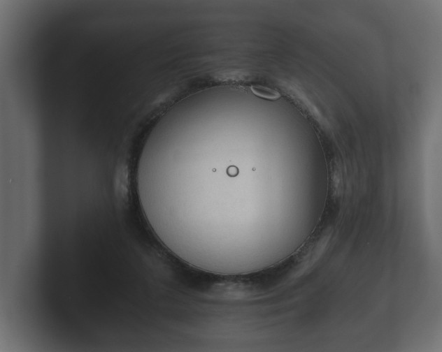 X0000103160211200808291457