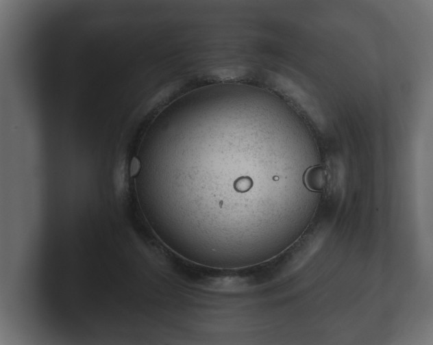 X0000103160212200808291457