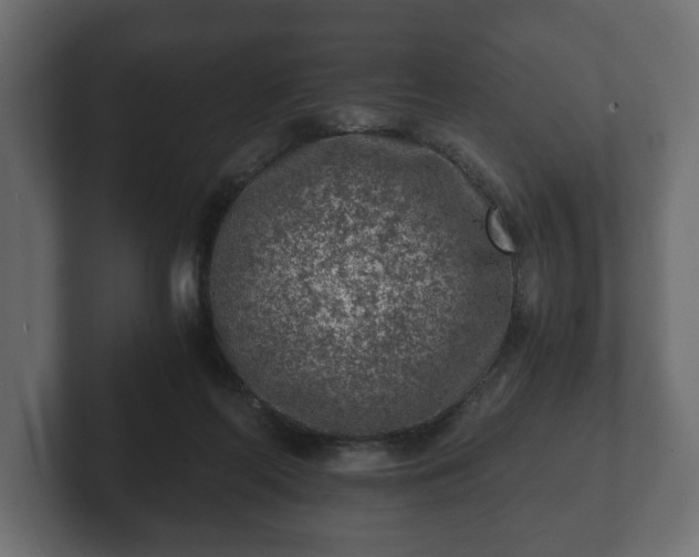 X0000103160214200808291457