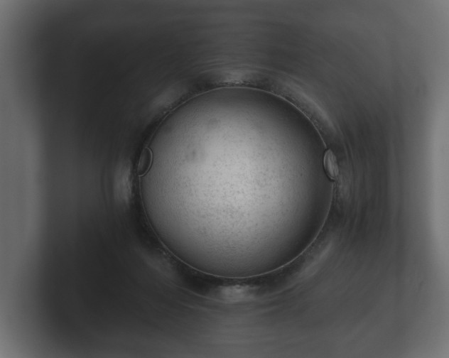 X0000103160216200808291457