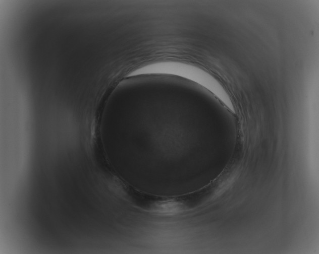 X0000103160219200808291457