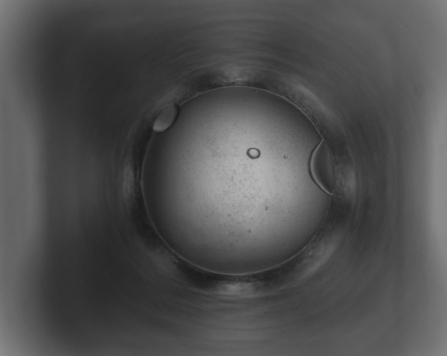 X0000103160220200808291457