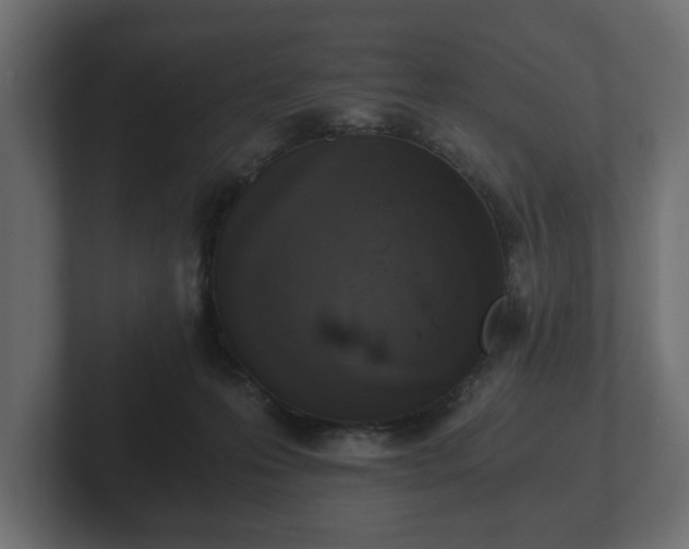 X0000103160223200808291456