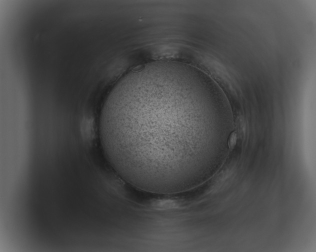 X0000103160224200808291456