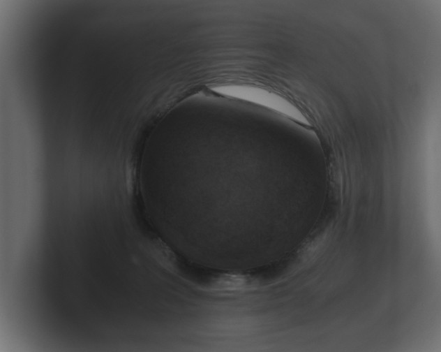 X0000103160227200808291456