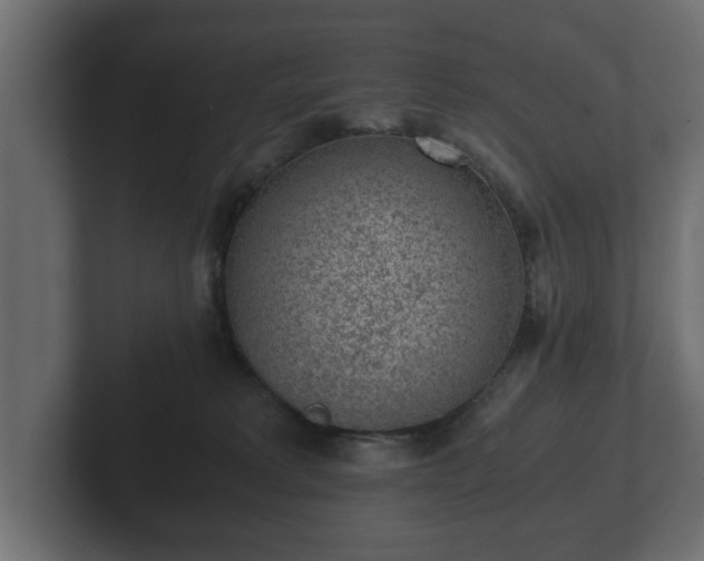 X0000103160229200808291456