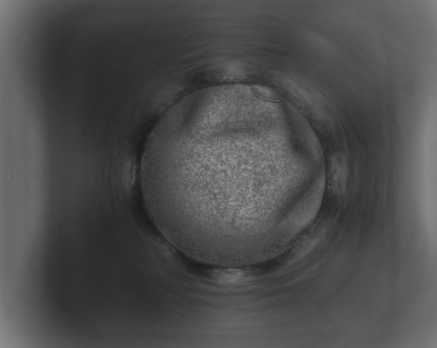 X0000103160230200808291456