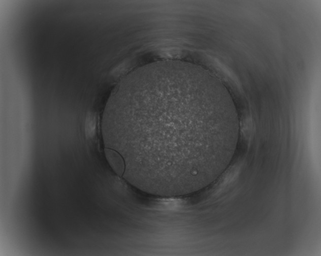 X0000103160233200808291456