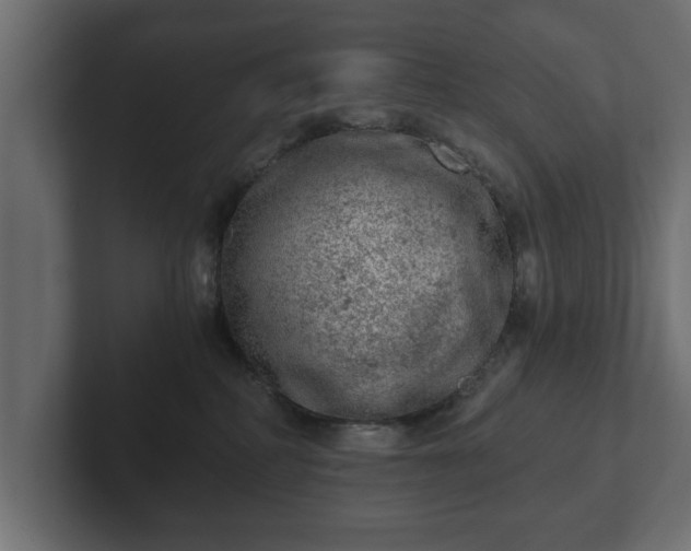 X0000103160234200808291456