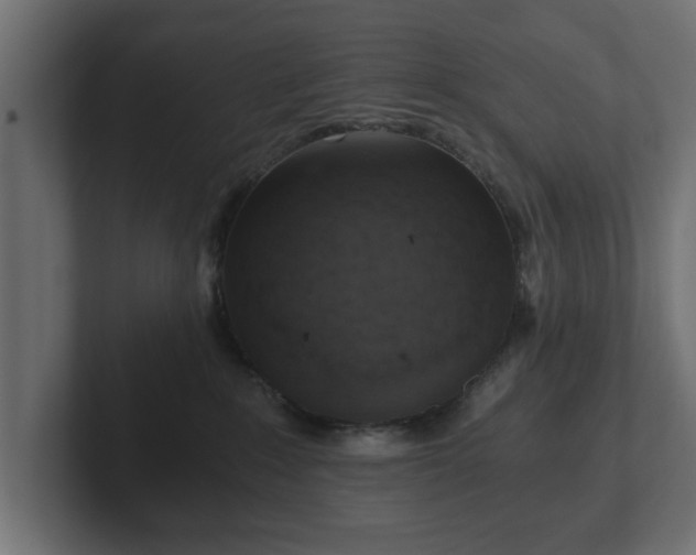 X0000103160235200808291456