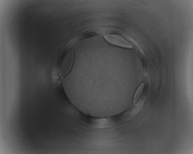 X0000103160237200808291456