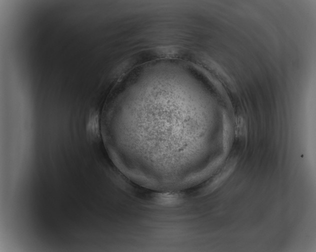 X0000103160238200808291456