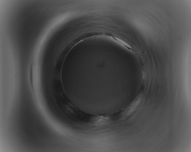 X0000103160239200808291456