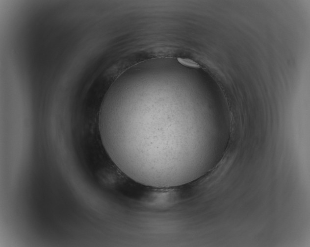 X0000103160240200808291456