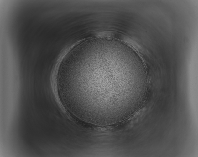 X0000103160241200808291456