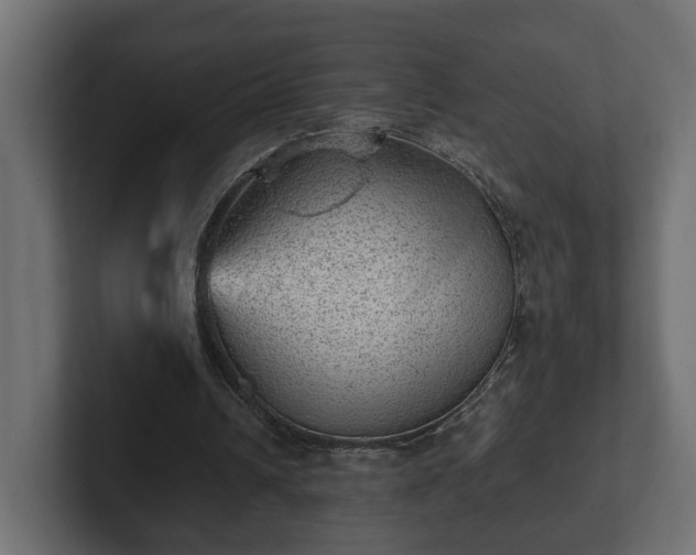 X0000103160242200808291456