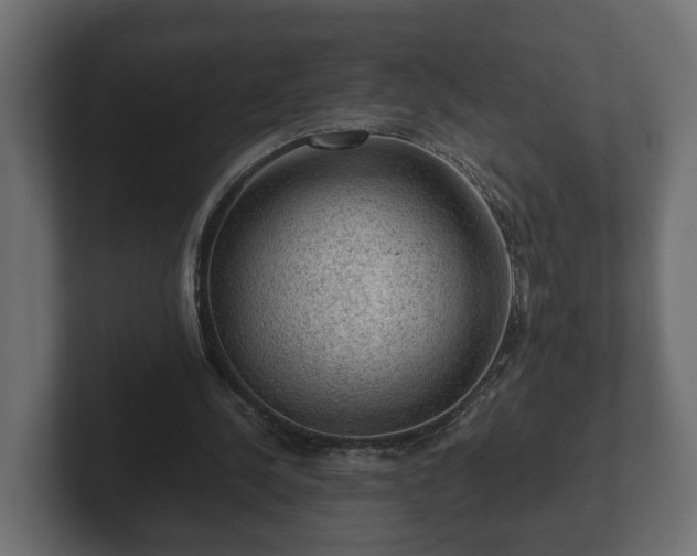 X0000103160244200808291456