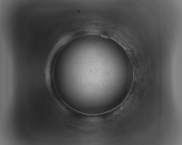 X0000103160245200808291456