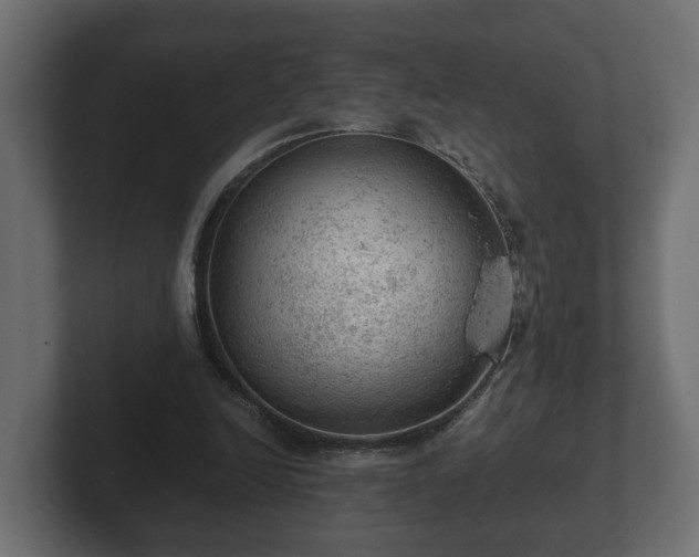 X0000103160246200808291456