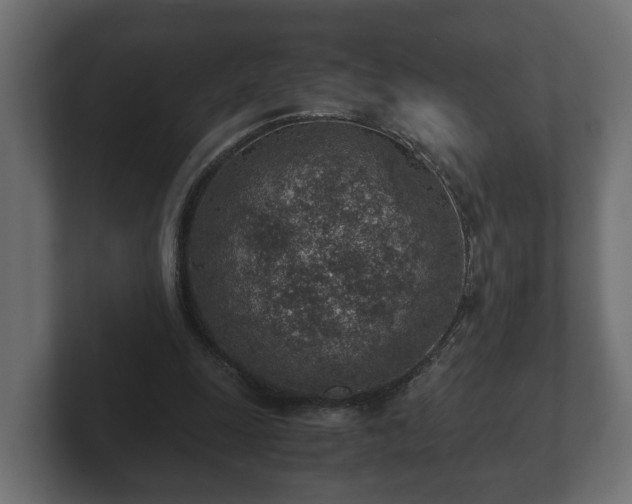 X0000103160247200808291456