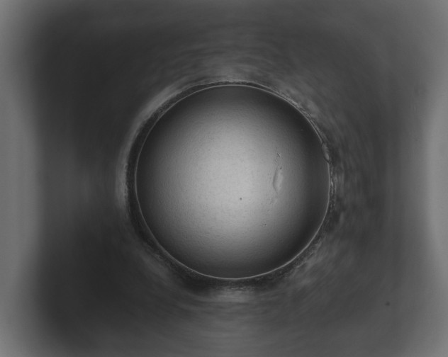 X0000103160248200808291456