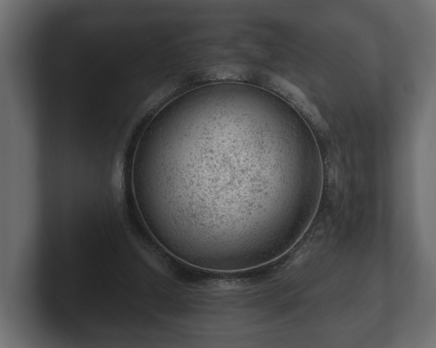 X0000103160250200808291456