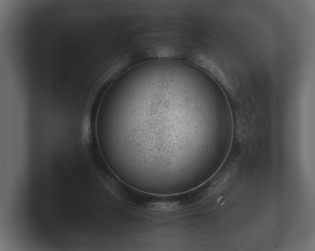 X0000103160251200808291456