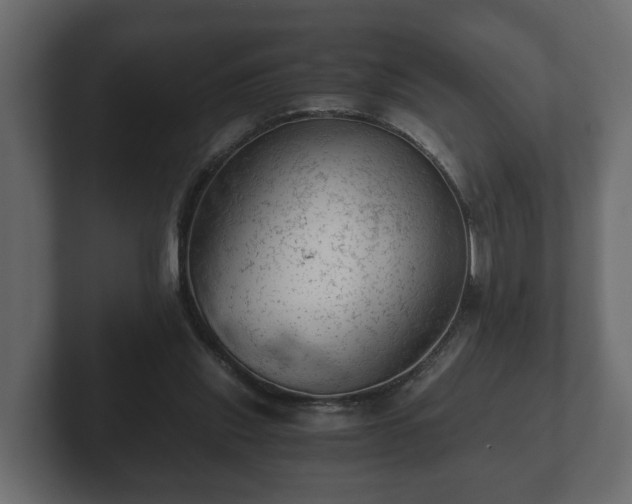 X0000103160253200808291456