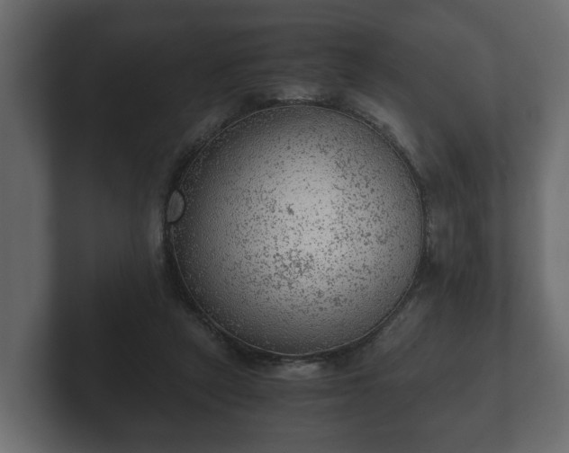 X0000103160257200808291456