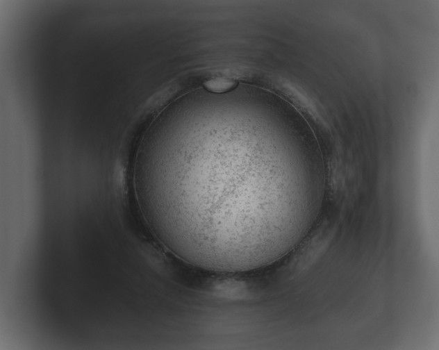 X0000103160258200808291456