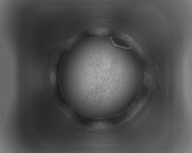 X0000103160259200808291456