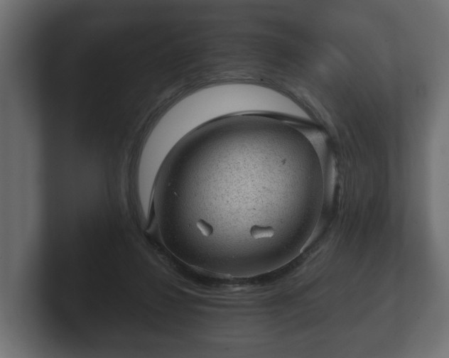 X0000103160260200808291456