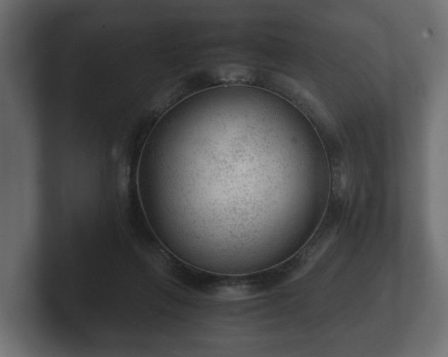 X0000103160263200808291456