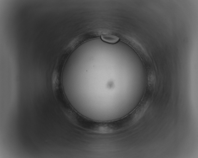 X0000103160264200808291456